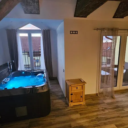 Virivka A Sauna Na Pokoji,nebo Na Vlastni Terase - Farma U Pribrami Appartement Příbram